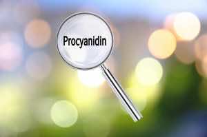 Procyanidin – Chất chống oxy hóa cho làn da đến từ nước Pháp